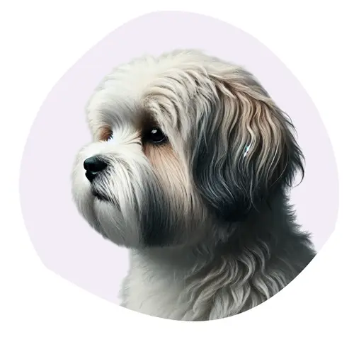 Terrier Tibétain